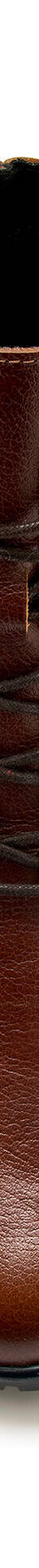 Leren bottines met hak, rits en veters (bruin) Leren bottines met hak, rits en veters (bruin)